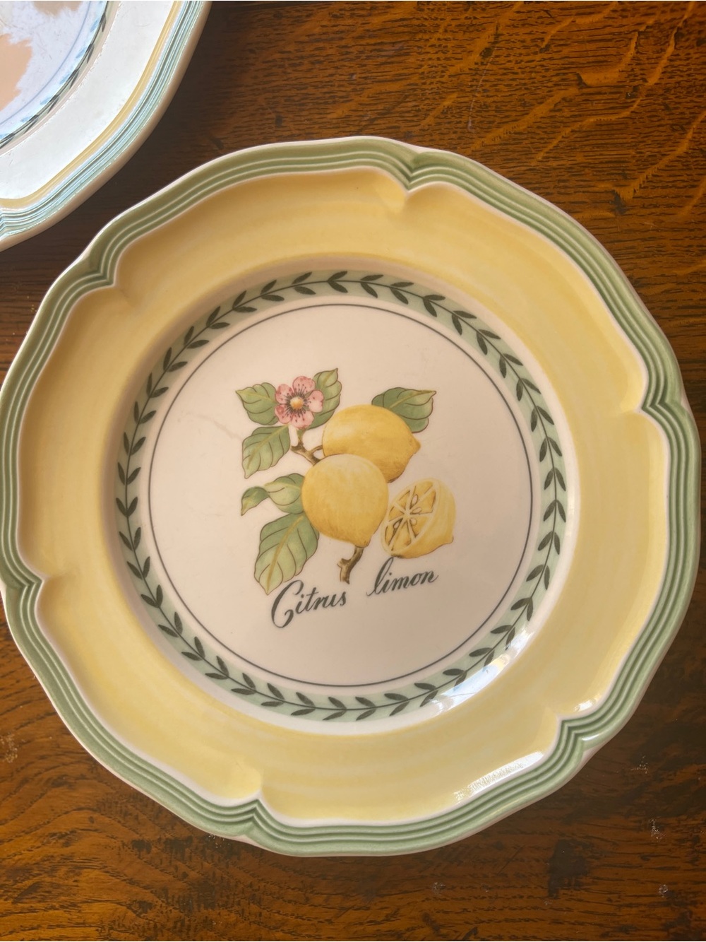TwoVilleroy & Boch Lemon French Garden ‘Valence’ Salad Plates 8”Yellow and Green - Picture 2 of 4